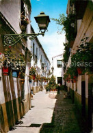 73040743 Malaga Andalucia Calle Victoriana Malaga Andalucia - Autres & Non Classés