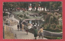 Maubeuge - Le Zoo ...  Colorisée , Années 60  ( Voir Verso ) - Maubeuge