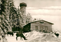 73038337 Harz Region Grosser Knollen Aussichtsturm Winterlandschaft Harz Region - Harzgerode