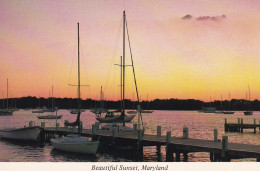 USAMD 02 07#0 - CHESAPEAKE BAY - BEAUTIFUL SUNSET - Annapolis