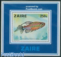 Congo Dem. Republic, (zaire) 1978 Fish S/s, Mint NH, Nature - Fish - Fische