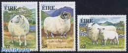 Ireland 1991 Irish Sheep 3v, Mint NH, Nature - Animals (others & Mixed) - Cattle - Ongebruikt