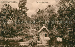 73035524 Funchal Volksgarten Funchal - Autres & Non Classés