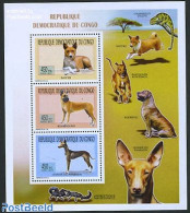 Congo Dem. Republic, (zaire) 2011 Dogs 3v M/s, Mint NH, Nature - Dogs - Sonstige & Ohne Zuordnung