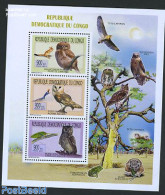 Congo Dem. Republic, (zaire) 2011 Owls & Insects 3v M/s, Mint NH, Nature - Birds - Birds Of Prey - Insects - Owls - Autres & Non Classés