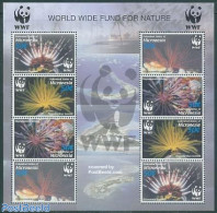 Micronesia 2005 WWF, Corals 2x4v M/s, Mint NH, Nature - World Wildlife Fund (WWF) - Mikronesien