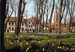 Bruges - Le Monastère De La Vigne - Brugge