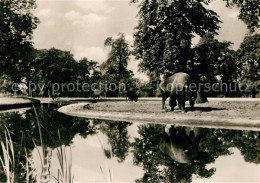 73032772 Berlin Tierpark Bison Praerie Berlin - Sonstige & Ohne Zuordnung