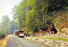 Han Sur Lesse - Grottes - Arrivée Du Tram - Entrée De La Grotte - Altri & Non Classificati