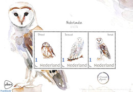 Netherlands - Personal Stamps TNT/PNL 2020 Owls 3v M/s, Mint NH, Nature - Birds - Birds Of Prey - Owls - Other & Unclassified