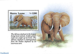Sierra Leone 1993 Elephant S/s, Mint NH, Nature - Animals (others & Mixed) - Elephants - Sonstige & Ohne Zuordnung