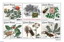 Guinea Bissau 2023 Medical Plants, Mint NH, Nature - Flowers & Plants - Insects - Guinée-Bissau