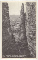 Echternach - Petite Suisse Luxembourgoise. Gorges Du Loup. Vue Sur Echternach. - (Luxembourg)  - 1950 - Echternach