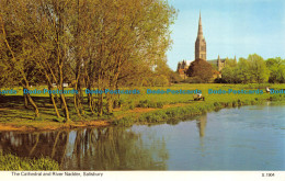 R072256 The Cathedral And River Nadder. Salisbury. Dennis - World