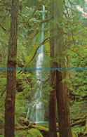 R072914 Marymere Falls. Olympic National Park. Washington - World