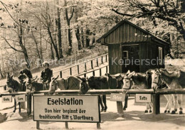 73032296 Eisenach Thueringen Eselstation Eisenach Thueringen - Eisenach