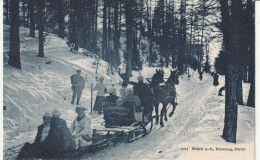 SCHLITTENFAHRT IM WINTER - Sonstige & Ohne Zuordnung