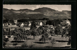 AK Wetzikon, Ober-Wetzikon, Ortsansicht Mit Bachtel  - Autres & Non Classés