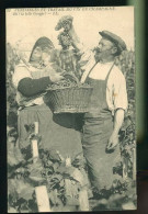 VENDANGES EN CHAMPAGNE      (    Mes Cartes Ne Sont Pas Jaunies ) - Autres & Non Classés