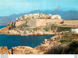 20.  CALVI .  La Citadelle . - Calvi