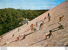 33.  LE PYLA Sur MER . Ascension De La Grande Dune . Côté Forêt Vers La Palombière . - Autres & Non Classés