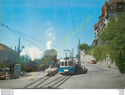 Chemin De Fer Touristique BLONAY-CHAMBY Et MONTREUX-OBERLAND Bernois .  GARE DE CHAMBY . - Andere & Zonder Classificatie