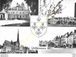 45.  PITHIVIERS .  CP Multivues . - Pithiviers