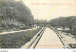 89.  COULANGES Sur YONNE . Le Canal Et Les Roches Du Bois De Bèze . - Coulanges Sur Yonne