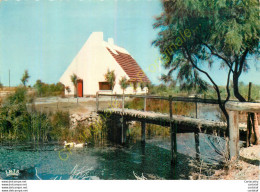 13.  CAMARGUE AVEC LES GARDIANS . Au Milieu Des Marais . Une Cabane Toute Blanche Au Toit De Roseaux . - Andere & Zonder Classificatie