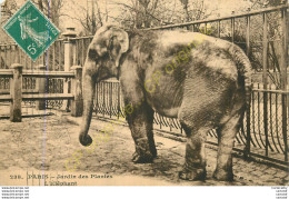 PARIS . JARDIN DES PLANTES .  L'Eléphant . - Otros & Sin Clasificación