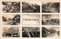 74 CHAMONIX - Chamonix-Mont-Blanc