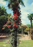 34  MONTPELLIER LES JARDINS DE L ESPLANADE - Montpellier