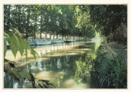 34 CANAL DU MIDI  - Other & Unclassified
