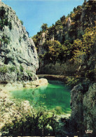 34 LES GORGES DE L HERAULT RAVIN DES ARCS - Altri & Non Classificati