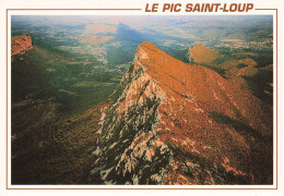 34 LE PIC SAINT LOUP  - Other & Unclassified