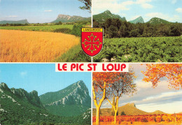 34 LE PIC SAINT LOUP  - Altri & Non Classificati