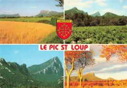 34 LE PIC SAINT LOUP  - Other & Unclassified
