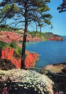 83 LE TRAYAS LES CALANQUES LES ROCHERS ROUGES - Otros & Sin Clasificación