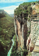 83 LES GORGES DU VERDON BELVEDERE DE L ESCALEZ  - Otros & Sin Clasificación