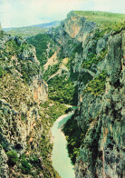 83 GRAND CANON DU VERDON FALAISES DES CAVALIERS - Sonstige & Ohne Zuordnung