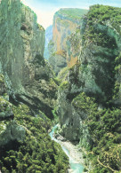 83 LES GORGES DU VERDON LE POINT SUBLIME - Otros & Sin Clasificación