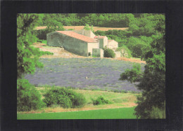 13 EN PROVENCE  - Other & Unclassified
