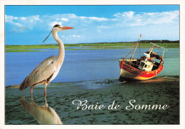 80 LA BAIE DE SOMME  - Sonstige & Ohne Zuordnung