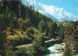 74 LE MONT BLANC ARGENTIERES - Chamonix-Mont-Blanc