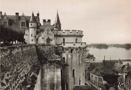 37 AMBOISE LE CHÂTEAU - Amboise