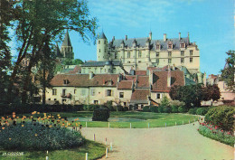 37 LOCHES LE CHÂTEAU - Loches