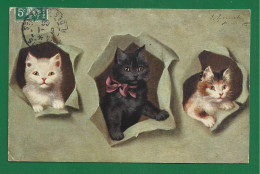 Chat - Illustrateur Sophie Sperlich. Portrait De Trois Petits Chats .cats , Serie 1869 - Katzen