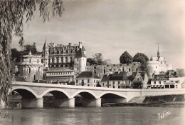 37 AMBOISE LE CHATEAU - Amboise