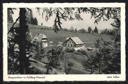 AK Feldberg-Bärental, Blick Auf Hercynenheim  - Feldberg
