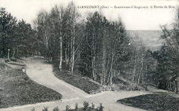 60 - Liancourt - Sanatorium D'Angicourt - L'Entrée Du Bois - Liancourt
